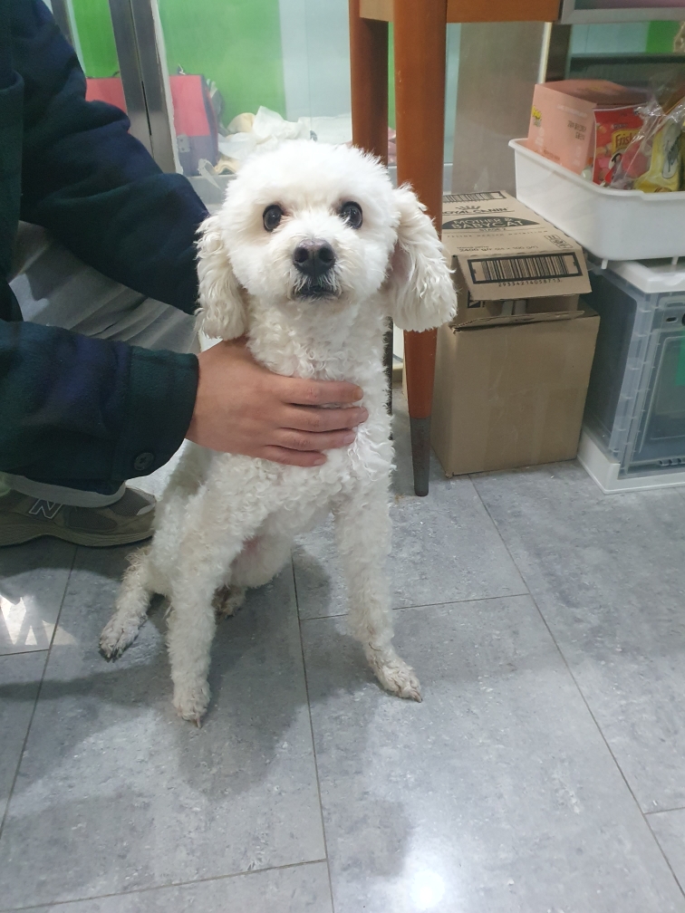 펫앤쉘터동물병원_441378202500239